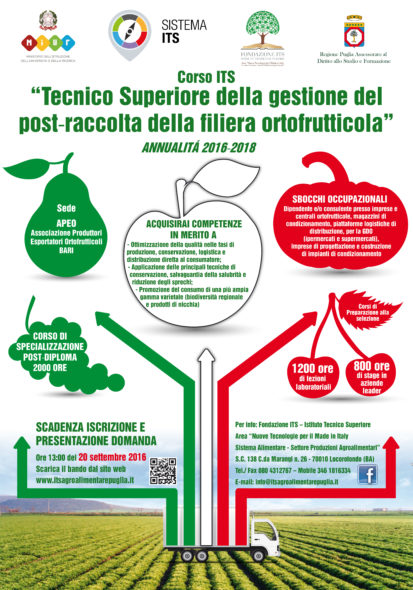 Specializzazione Post Diploma