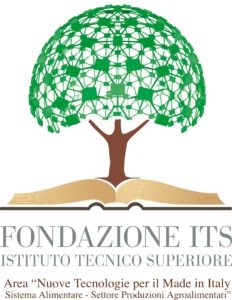Logo ITS