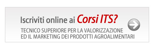 Iscriviti online ai Corsi ITS